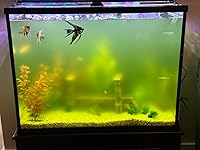 Review Image by Amazon Customer Amazon Customer