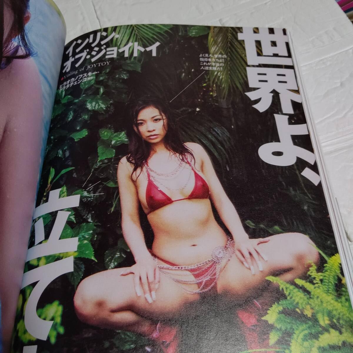 週刊プレイボーイ1966年号 週刊 プレイボーイ ◇創刊号 1966年11月15日号 / 古本、中古本、古書籍