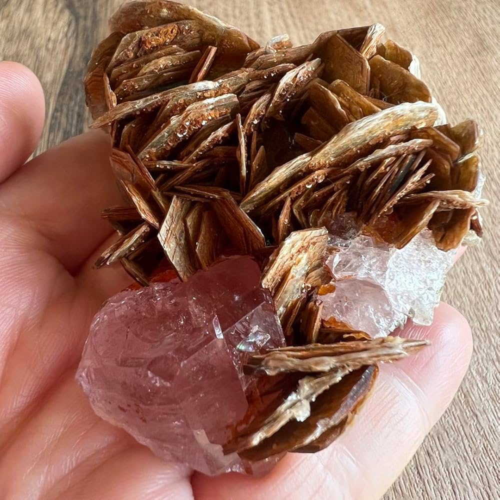 蛍光 ピンク アパタイト マスコバイト 共生 鉱物 標本 原石 フルオレッセンス Amazon.co.jp: 蛍光 ピンク アパタイト マスコバイト 共生 鉱物