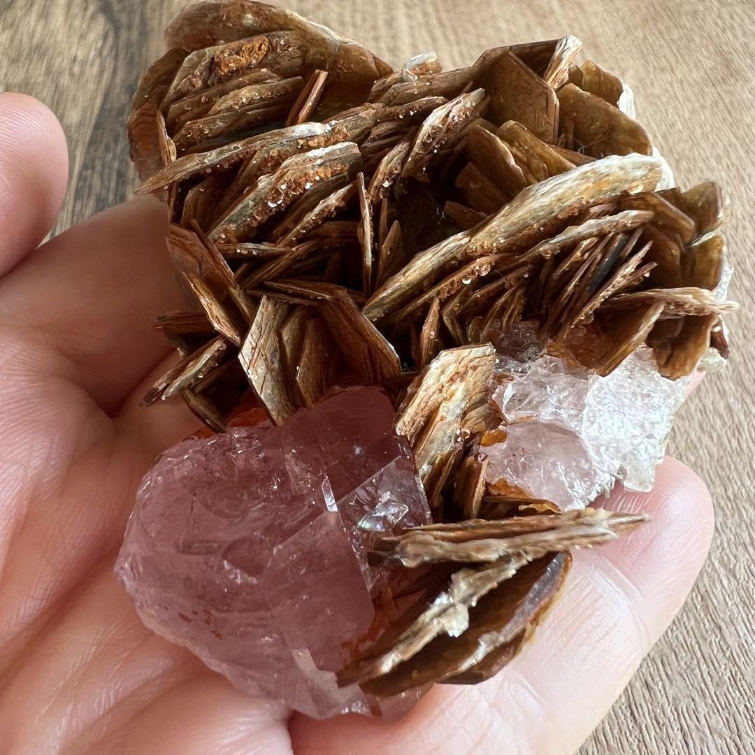 蛍光 ピンク アパタイト マスコバイト 共生 鉱物 標本 原石 フルオレッセンス Amazon.co.jp: 蛍光 ピンク アパタイト マスコバイト 共生 鉱物