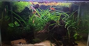 Review Image by Gavin Dalton Gavin Dalton