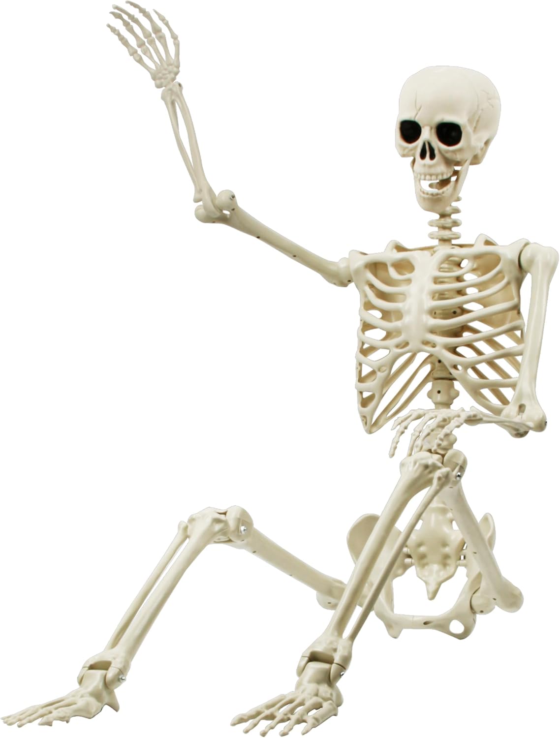 5.4Ft/165cm Posable Halloween Skeleton, Full Body Life Size Poseable Joints Skeleton for Halloween Party Indoor Outdoor Decoration Yard Lawn Garden Patio Decor, Spooky Party Props Decor