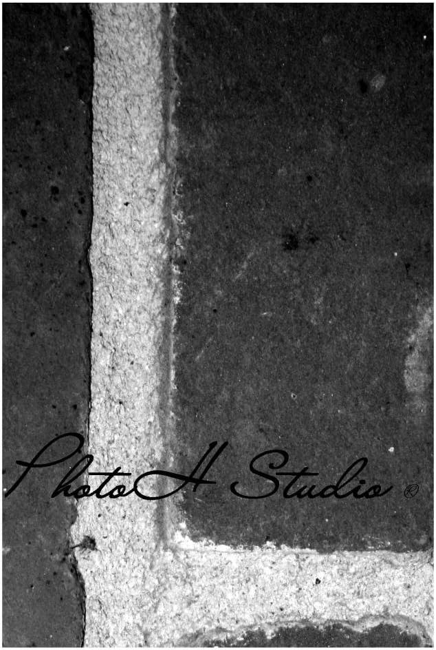 Letter L Photograph Alphabet Art Print 4"x6" by Phot Oh Studio L-2