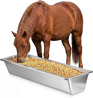 Water Trough For Horses Picks collage image 3