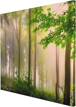 Amazon.co.jp: アートパネル 壁掛け おしゃれ 森 朝の光 自然風景 新緑