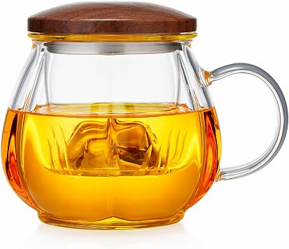 Unbreakable Glass Tea Cup with Infuser and Lid - 15.6oz Tea Mug for Loose Leaf Tea, Infusion Mug with Glass Filter and Wood Lid