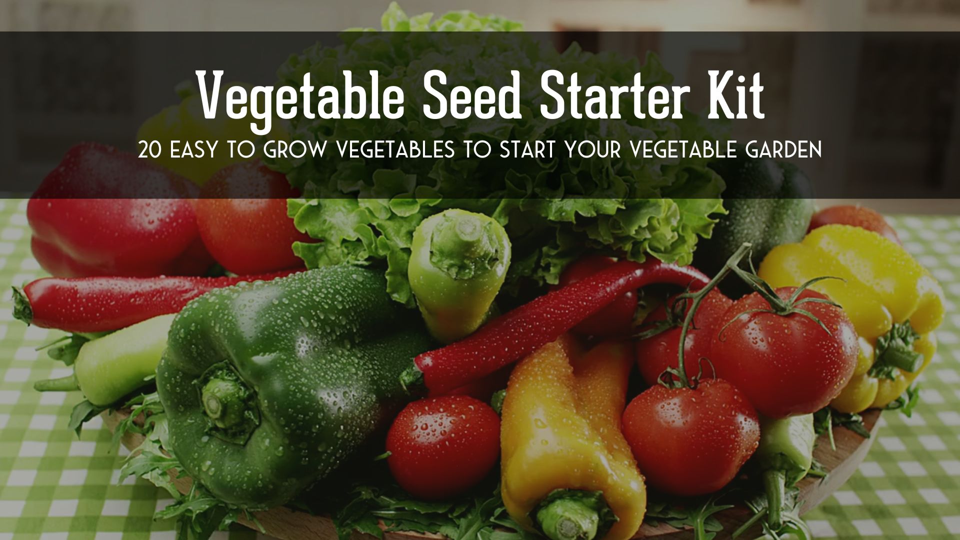 Amazon.com : Vegetable Garden Starter Kit – 20 Variety Heirloom