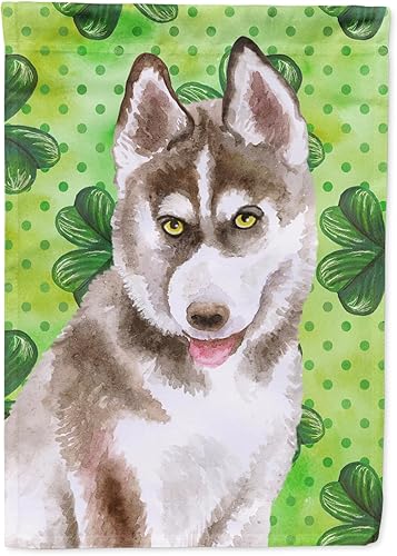 Caroline's Treasures BB9870GF - Bandera de jardín de San Patricio de Husky siberiano, color gris, bandera de buzón verde, bandera decorativa para