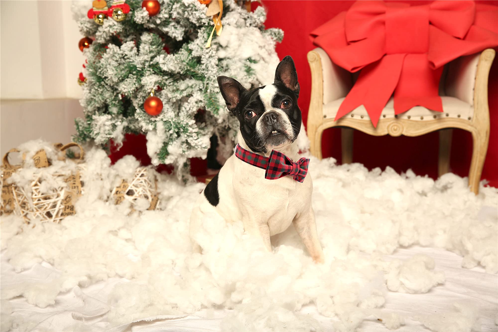 Weihnachts-Hundehalsband Mit Fliege – Verstellbar Für Kleine Hunde & Katzen (Halsumfang 20–30 Cm)