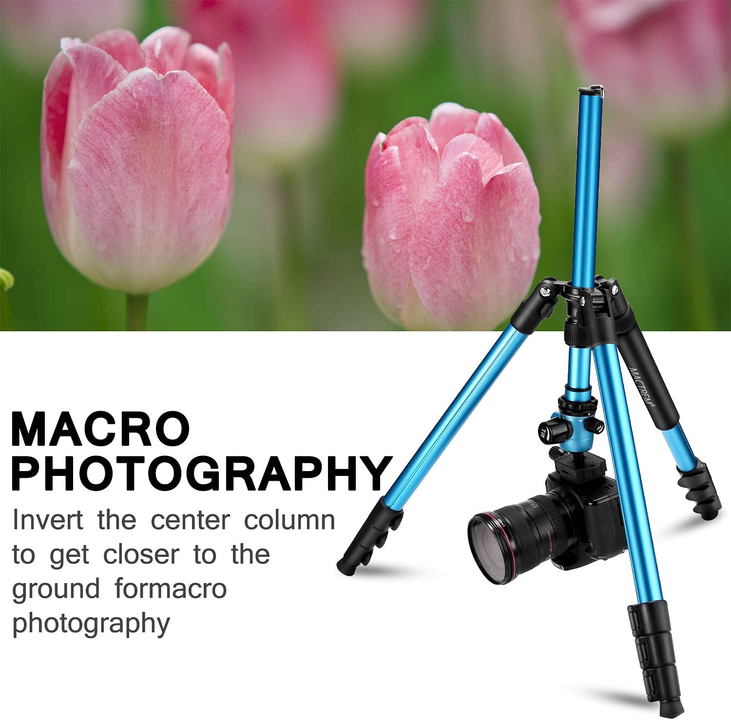 Exсluѕіvе Sресіаl MACTREM Professional Camera Tripod DSLR Tripod for Travel, Super Lightweight and Reliable Sturdy, Ball Head Tripod Detachable Monopod with Phone Mount Carry Bag, 21.5 to 62.5, 33lb Load Gеt Dіѕсоunt 70% Prісе MACTREM Professional Camera Tripod DSLR Tripod for Travel, Super Lightweight and Reliable Sturdy, Ball Head Tripod Detachable Monopod with Phone Mount Carry Bag, 21.5 to 62.5, 33lb Load