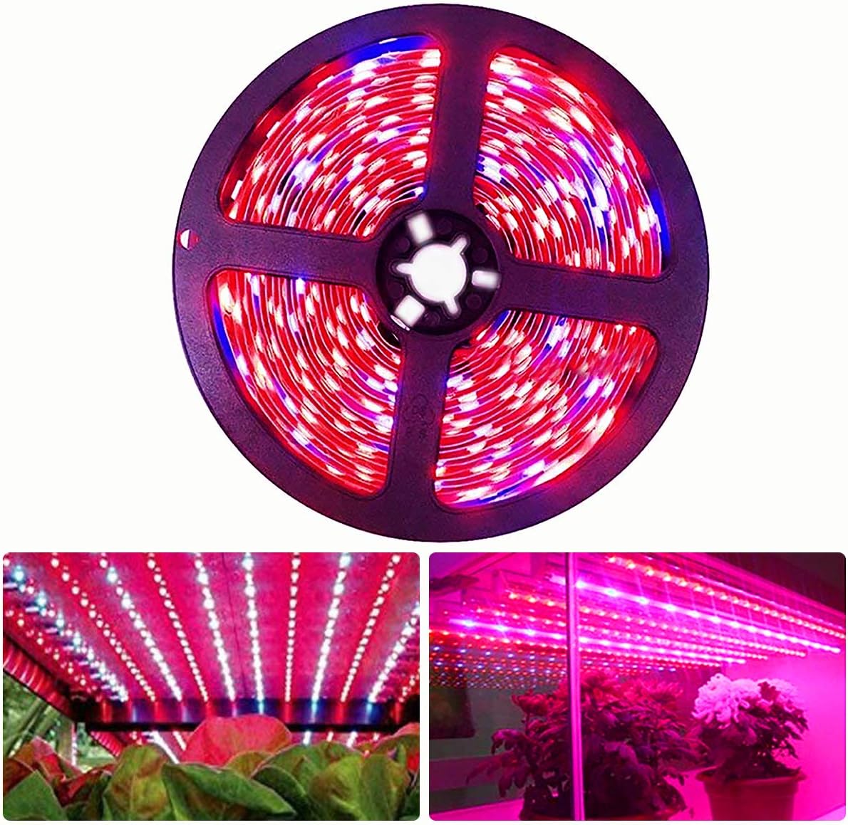 Tesfish 12V LED Strip Light, 4 in 1, RGBWW RGB Warm Wit 3000K 540LEDs 5M gemengde kleuren SMD 5050 IP20 Ledstrip lichtstrip voor Slaapkamer, Keuken Tesfish 12V LED Strip Light, 4 in 1, RGBWW RGB Warm Wit 3000K 540LEDs 5M gemengde kleuren SMD 5050 IP20 Ledstrip lichtstrip voor Slaapkamer, Keuken