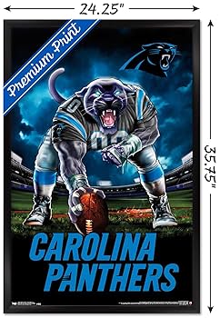 【国内皆無NFL】カロライナ・パンサーズ　新品 NE11417824-m-01-pl.jpg