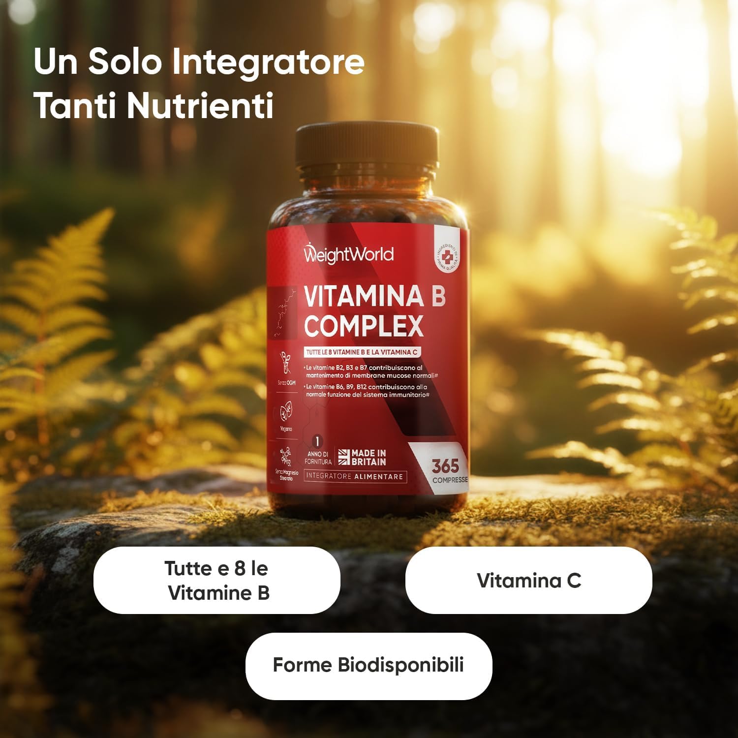 Elettroliti Vegani, Magnesio Bisglicinato e Vitamina B Complex Bundle