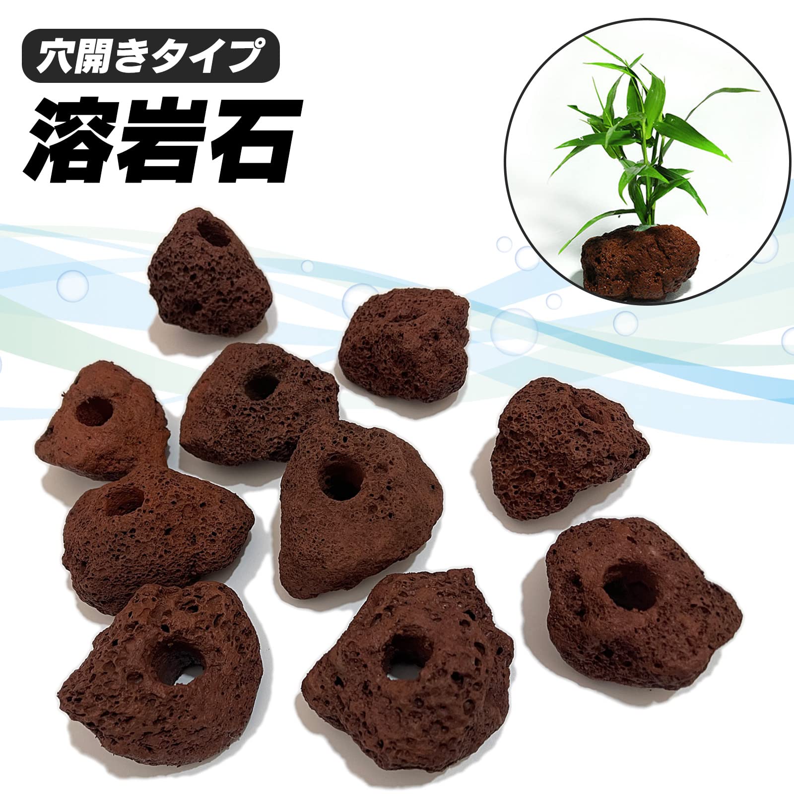 Amazon | S-NET 溶岩 石 火山 岩 水槽 穴あき オブジェ 10個 セット