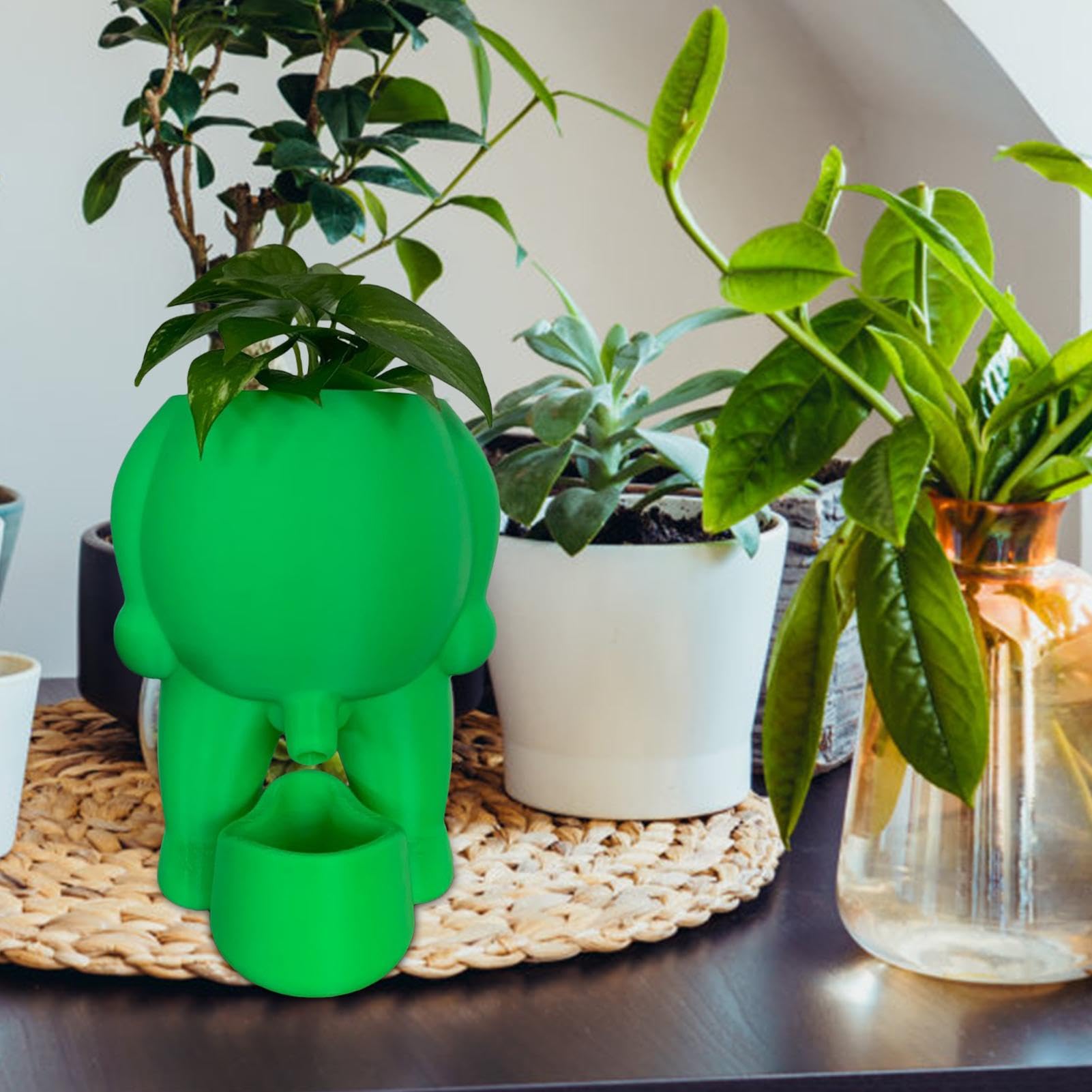Amazon.co.jp: 面白い植木鉢屋内 - 面白い植木鉢、ユニークな