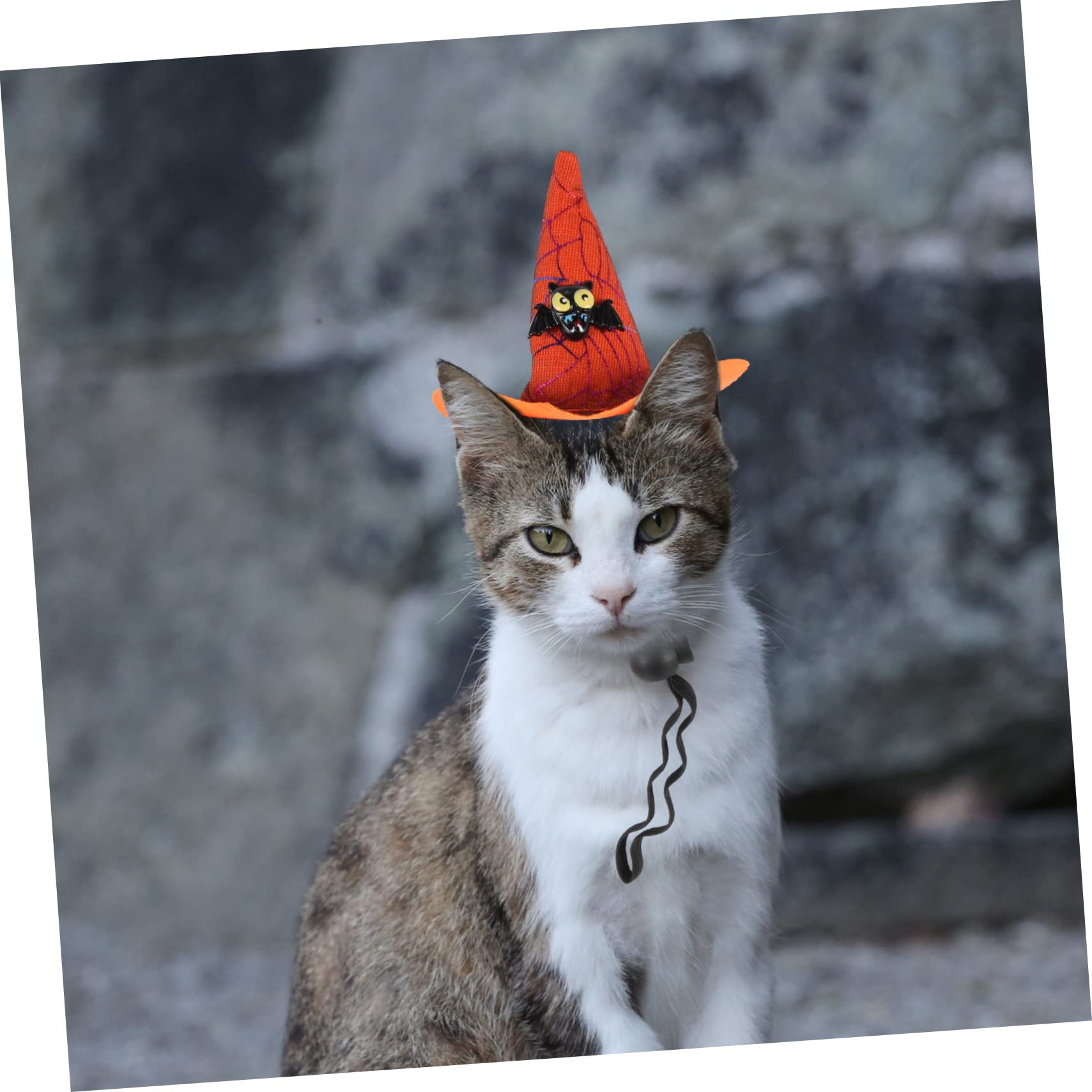Kisangel 16stücke Teiliges Von Dekorativen Halloween-Witch-hüten Für Haustiere Vielseitige Katzen Und Hundezubehör Für Festlichkeiten Und Cosplay Leicht Bequem Und Auffällig