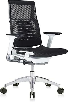 POwerFIT Exec Chair Black MESH SEAT & Back-White Frame