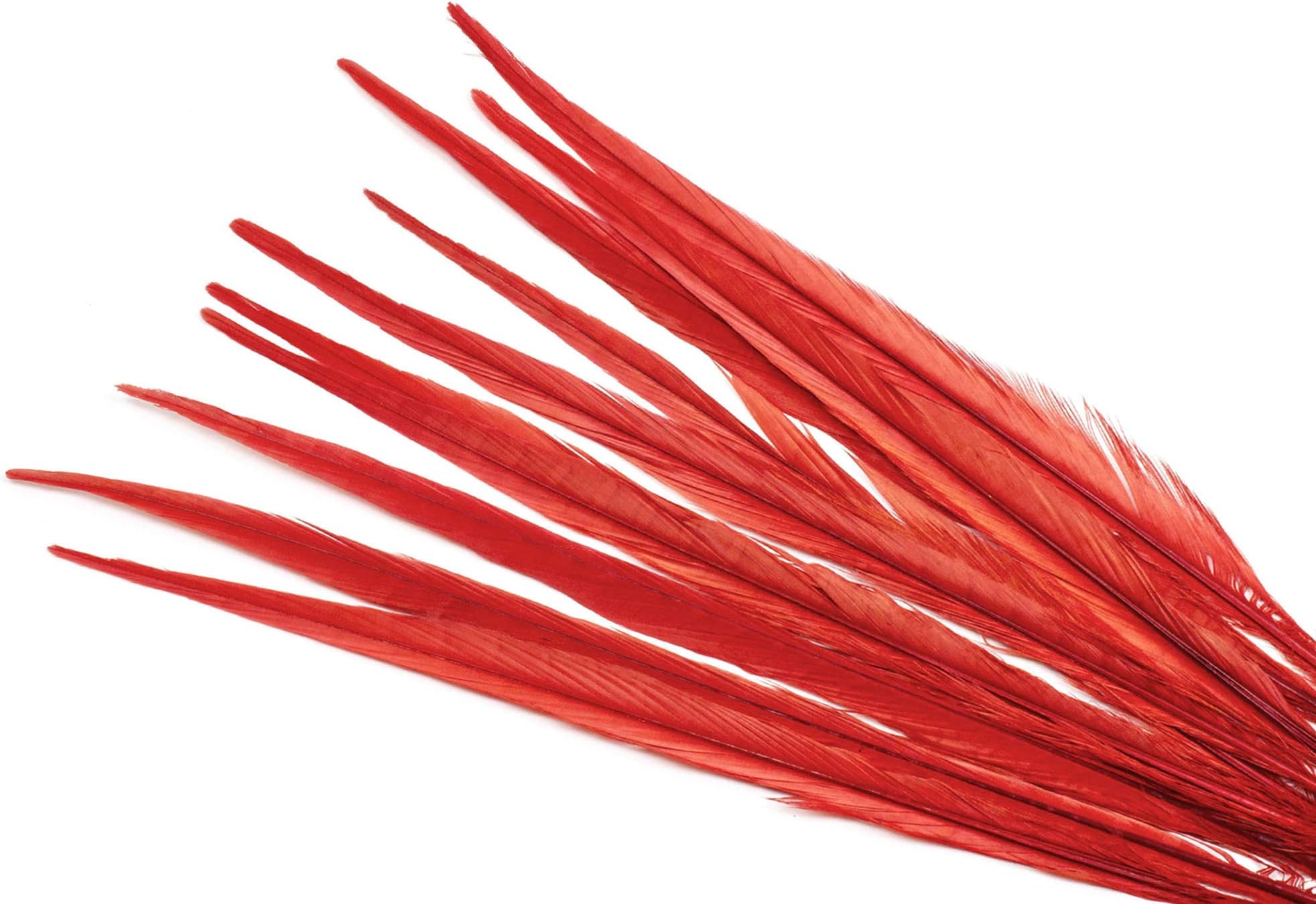 Pheasant Tail Feathers 16" - 18" - Sold by The Piece (Red)