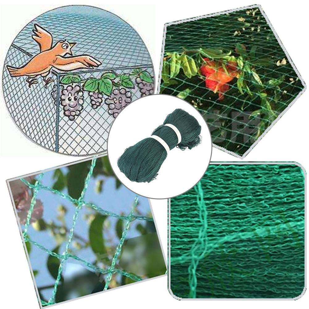 Malla AntipáJaros Netting Reutable Garden Net Cercado para árboles frutales Protección de Verduras (Size : 4 x 10m)