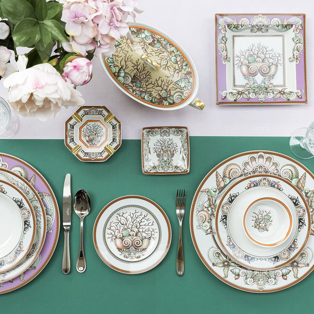 Amazon.com | Rosenthal Versace Pink Rim Soup Plate, Etoiles de la 
