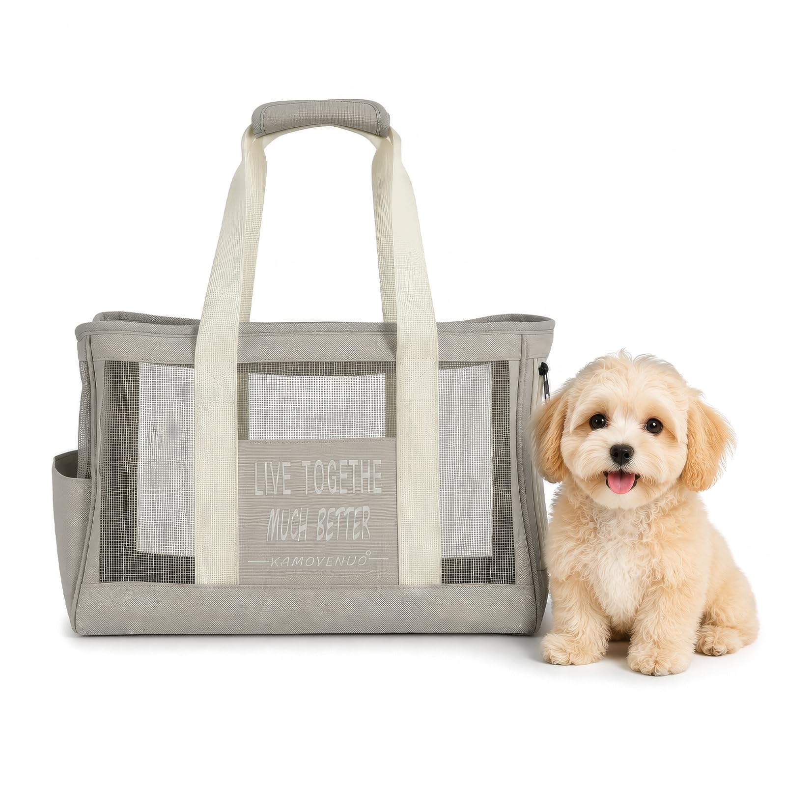 FERNVALE Pet Car Seat for Small Dogs, Elevated Booster Seat with Adjustable Safety Tether, Washable Nested Travel Bed, Portable Carrier for Car, Truck, SUV, and Airplane (Grey)