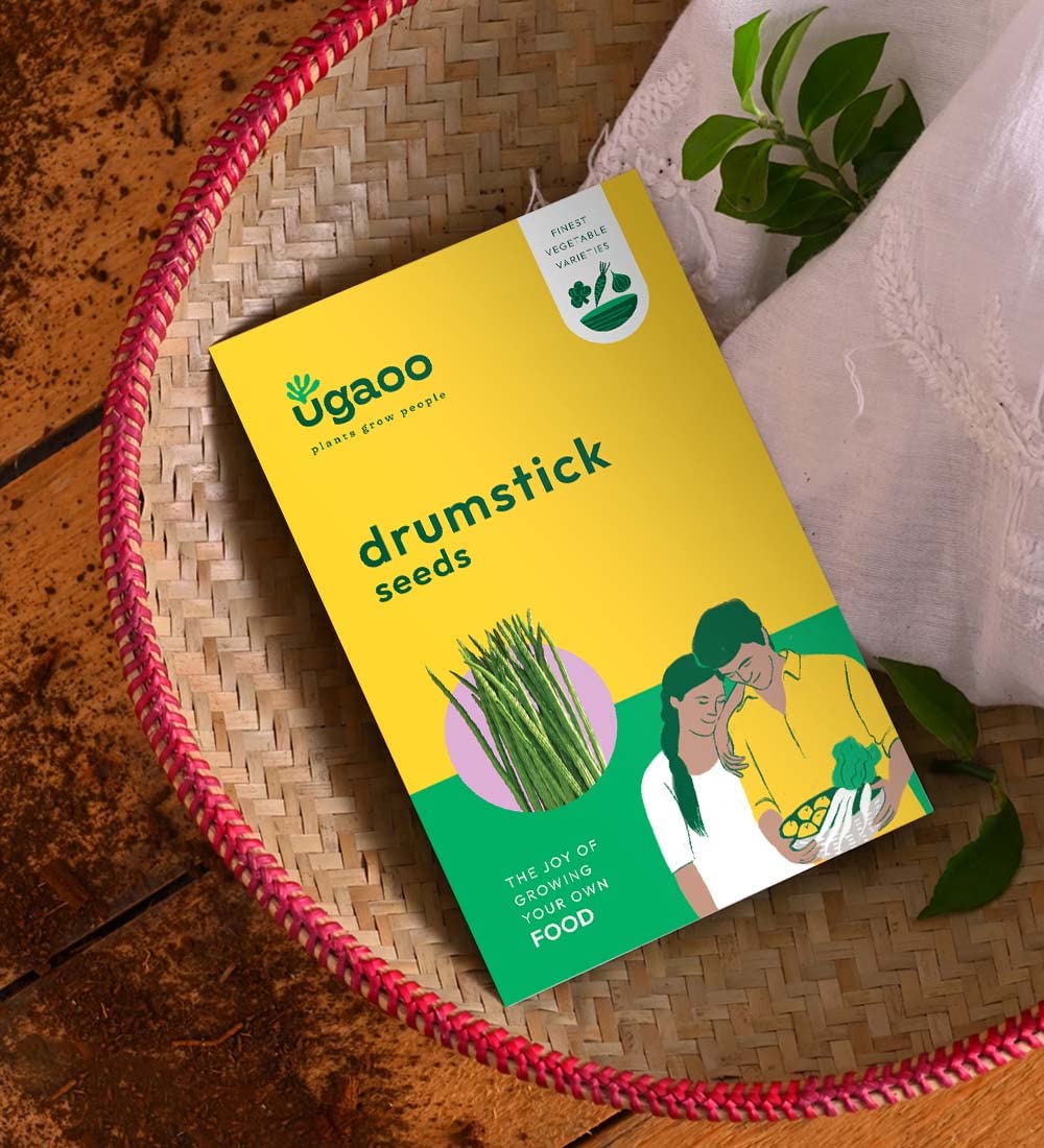 UGAOO Drumstick Moringa Vegetable Seeds (Green, Pack of 10g)