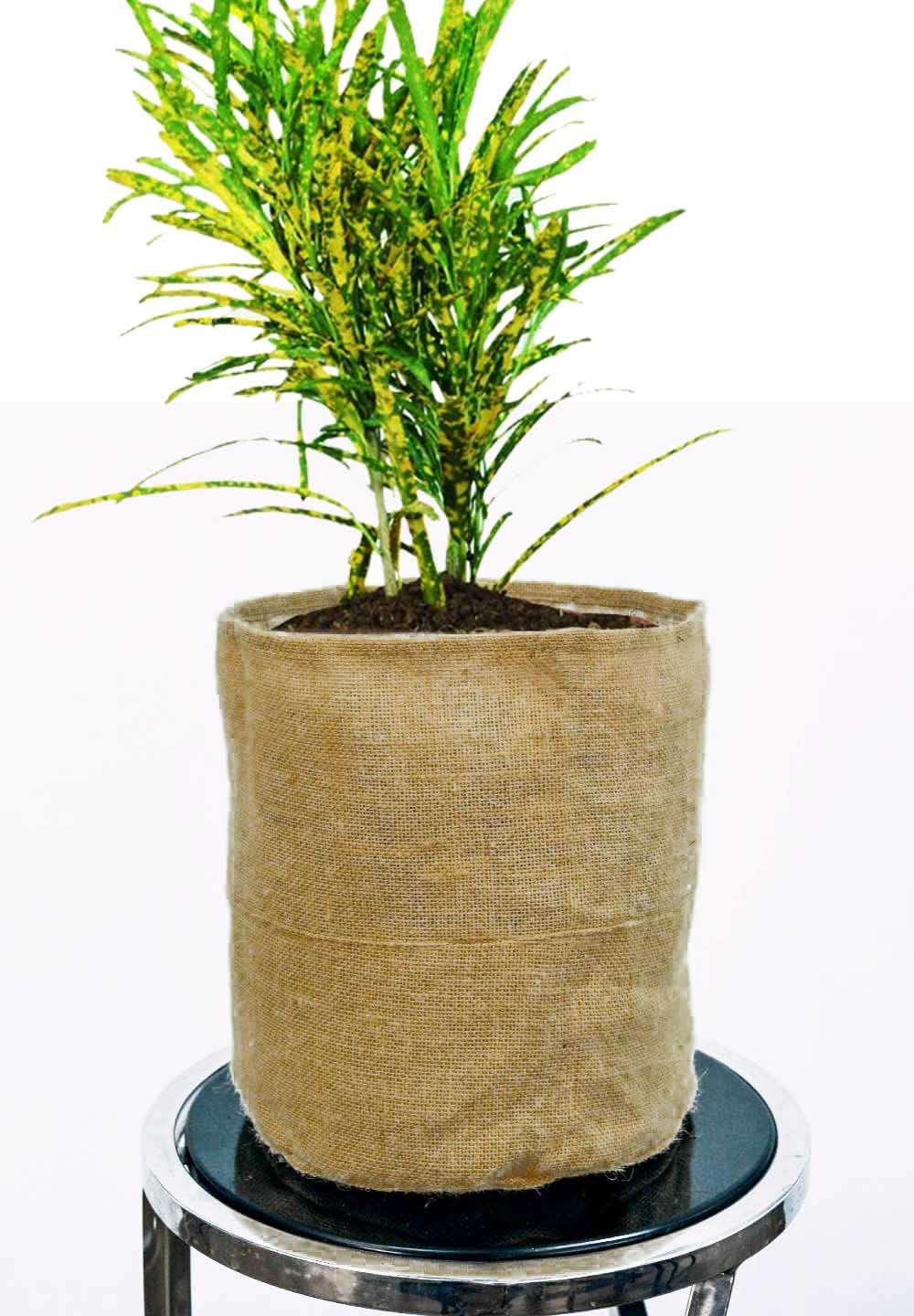 Samarth Jute Grow Bag Pots for Plants & Gardening (Set of 4) (B0B1MSXG9M) Amazon Price History, Amazon Price Tracker