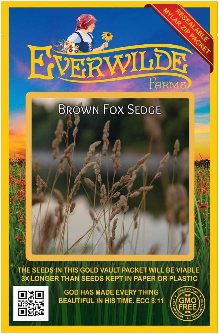Everwilde Farms - 1/4 Lb Brown Fox Sedge Native Grass Seeds - Gold Vault