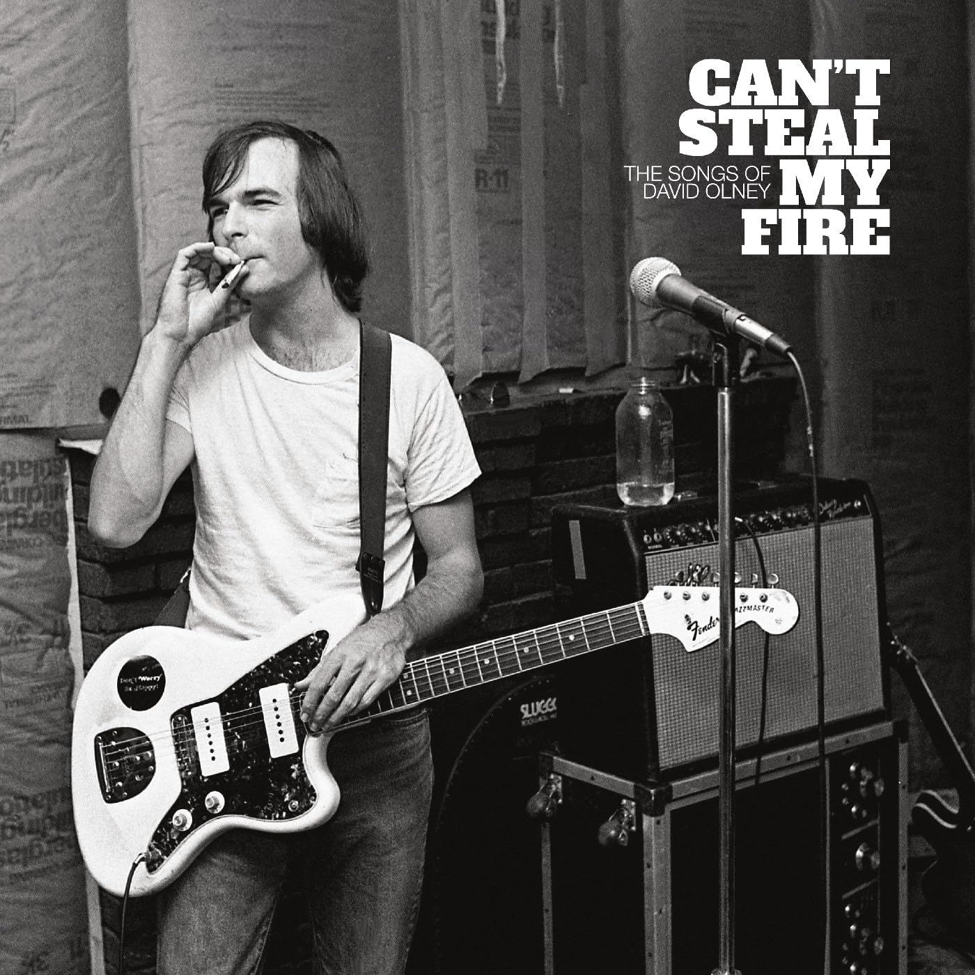 Can't Steal My Fire: The Songs of David Olney
