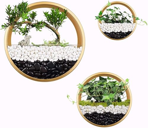 Miniatura 4 de Paquete de 3 macetas colgantes de pared, cesta moderna de pared redonda, maceta vertical para interiores y exteriores, jarrón para plantas