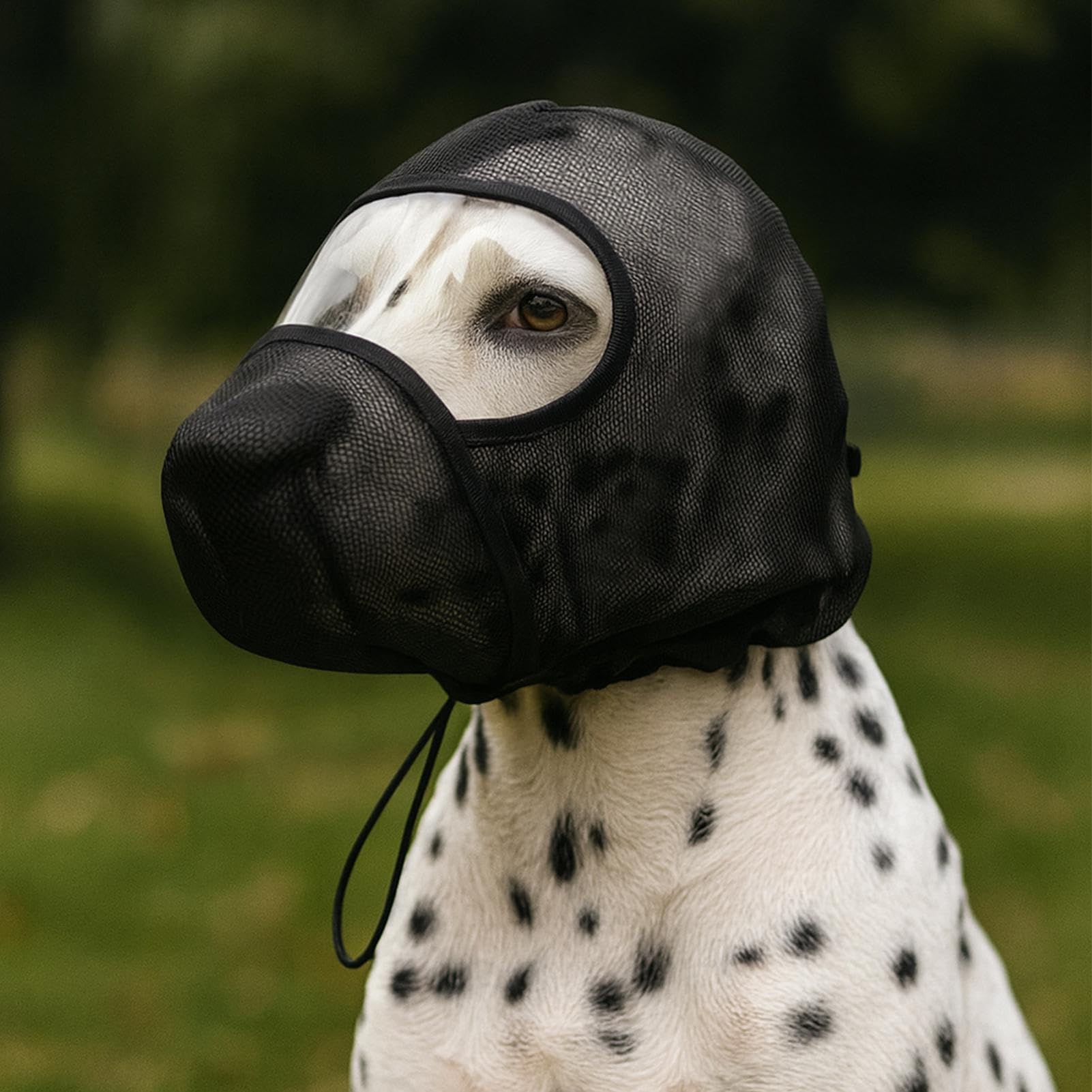 Maulkorb aus Mesh für Hunde Verstellbarer Maulkorb aus Mesh gegen Bellen | Beißschutz für Hunde für kleine, mittlere und große Hunde, geeignet für Zuhause, Reisen, Spaziergänge, Outdoor, Camping u