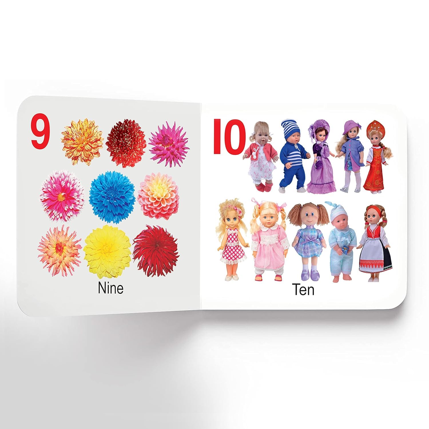 Numbers Board Book for Babies & Toddlers (0β2 Years) | Learn Counting from 1 to 20 with Bright Images, Glitter Cover, Rounded Corners & Durable Board Material 3