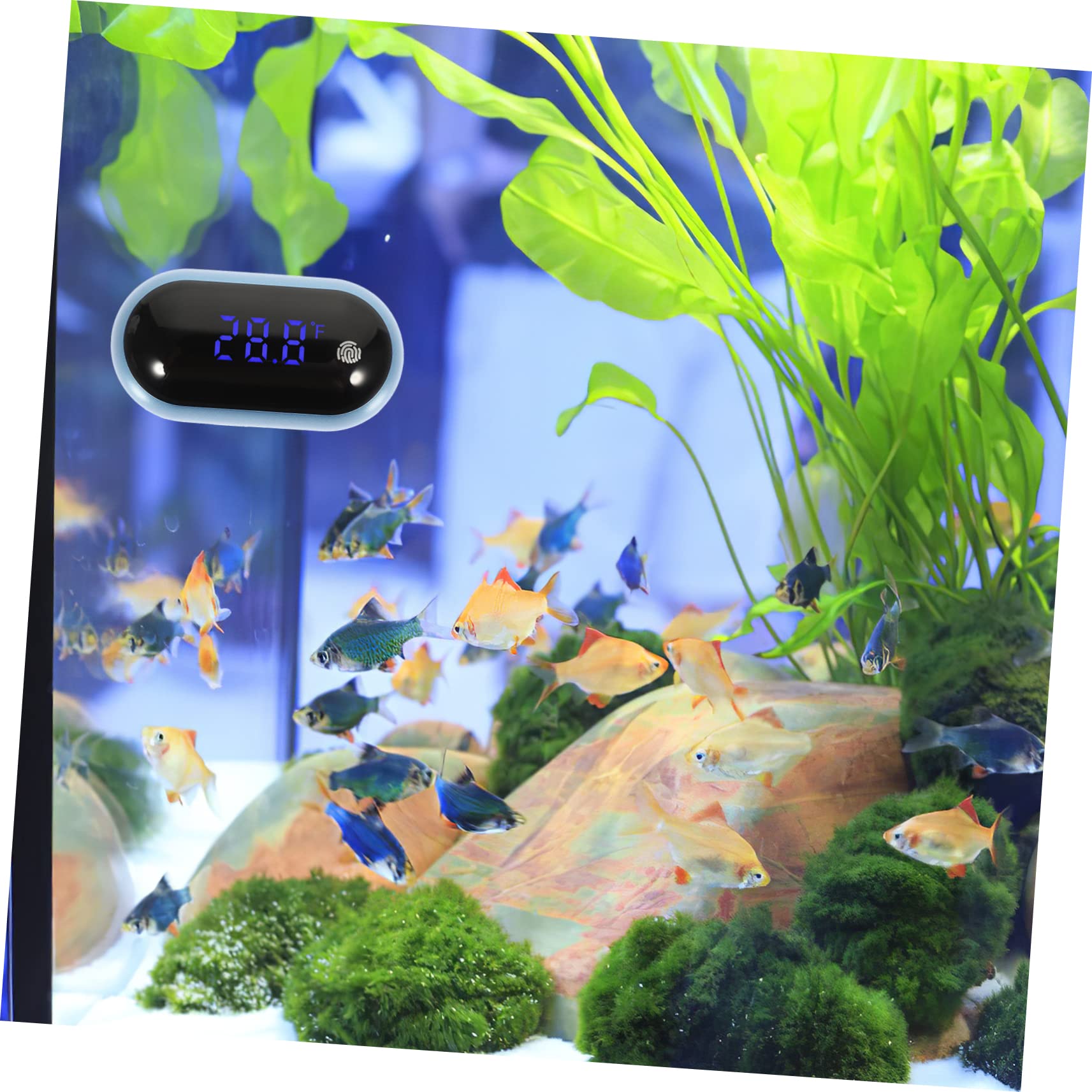Toddmomy 3pezzi Termometro Per Acquari Misuratore Display Led Facile e Resistente Per Serbatoi e