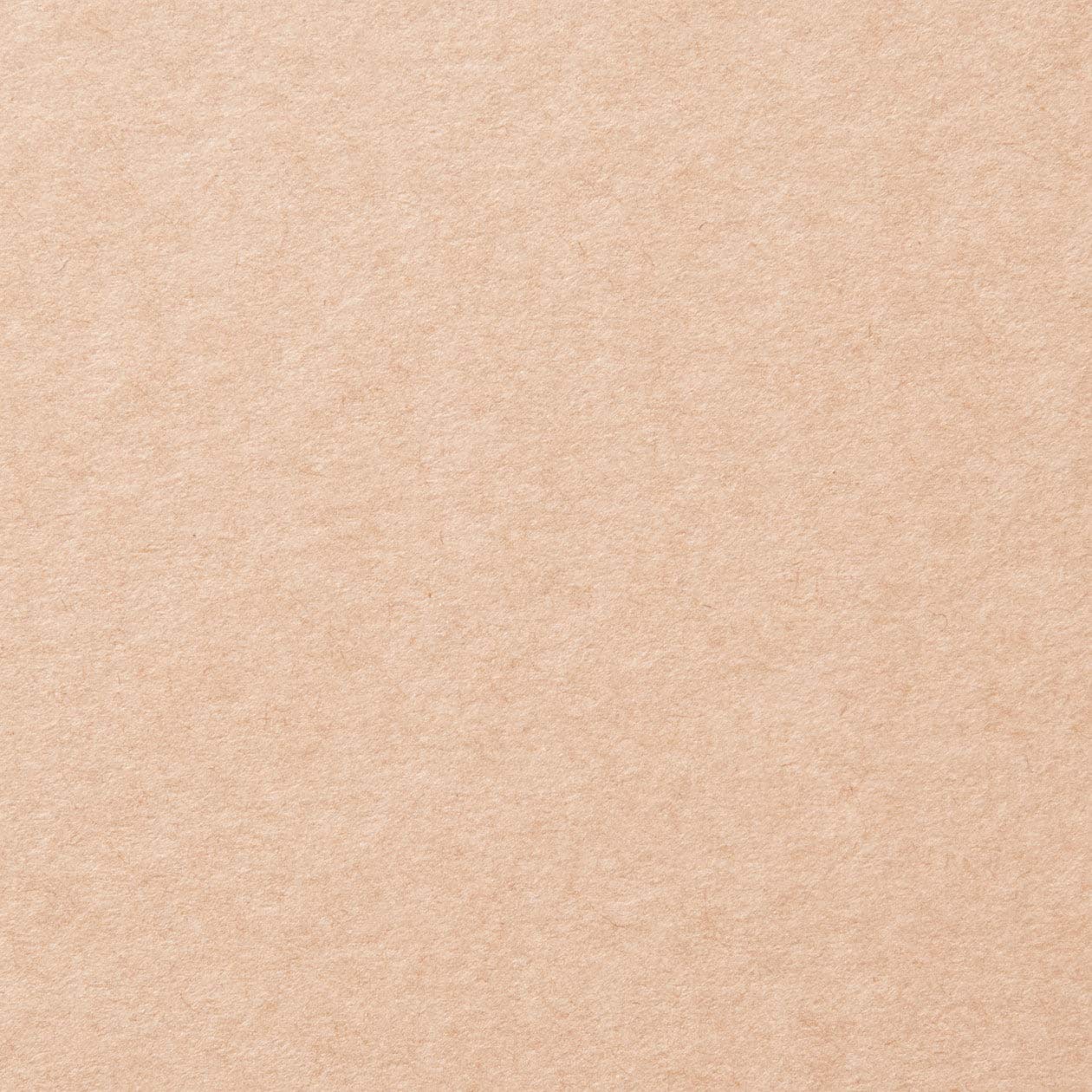 Amazon.co.jp : 無印良品 パルプボードボックス・タテヨコA4サイズ・2