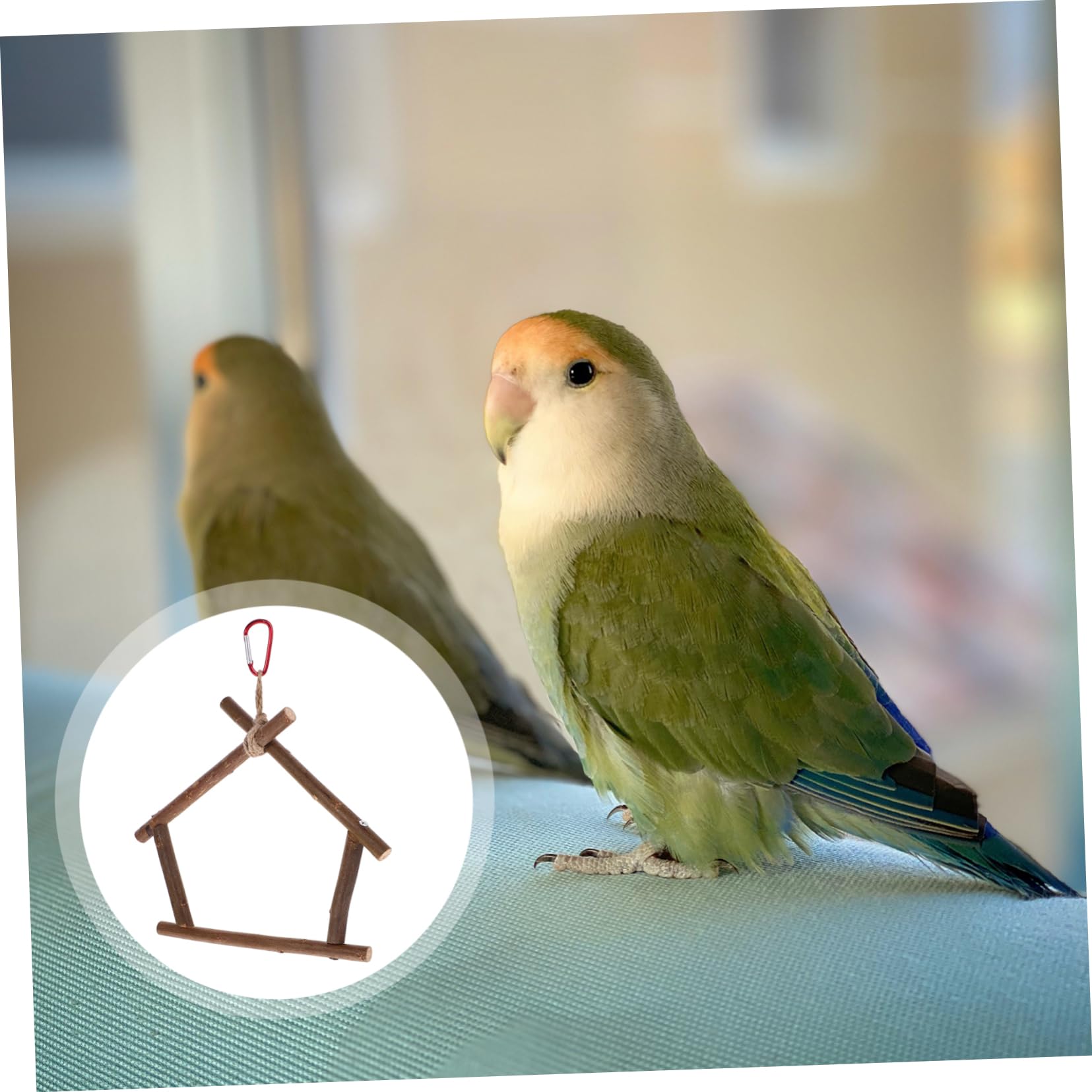 HANABASS 5pièces Perchoir Naturel pour Oiseaux Jouet De Forme De Maison pour Perruches Et Perroquets Accessoire De Cage Et