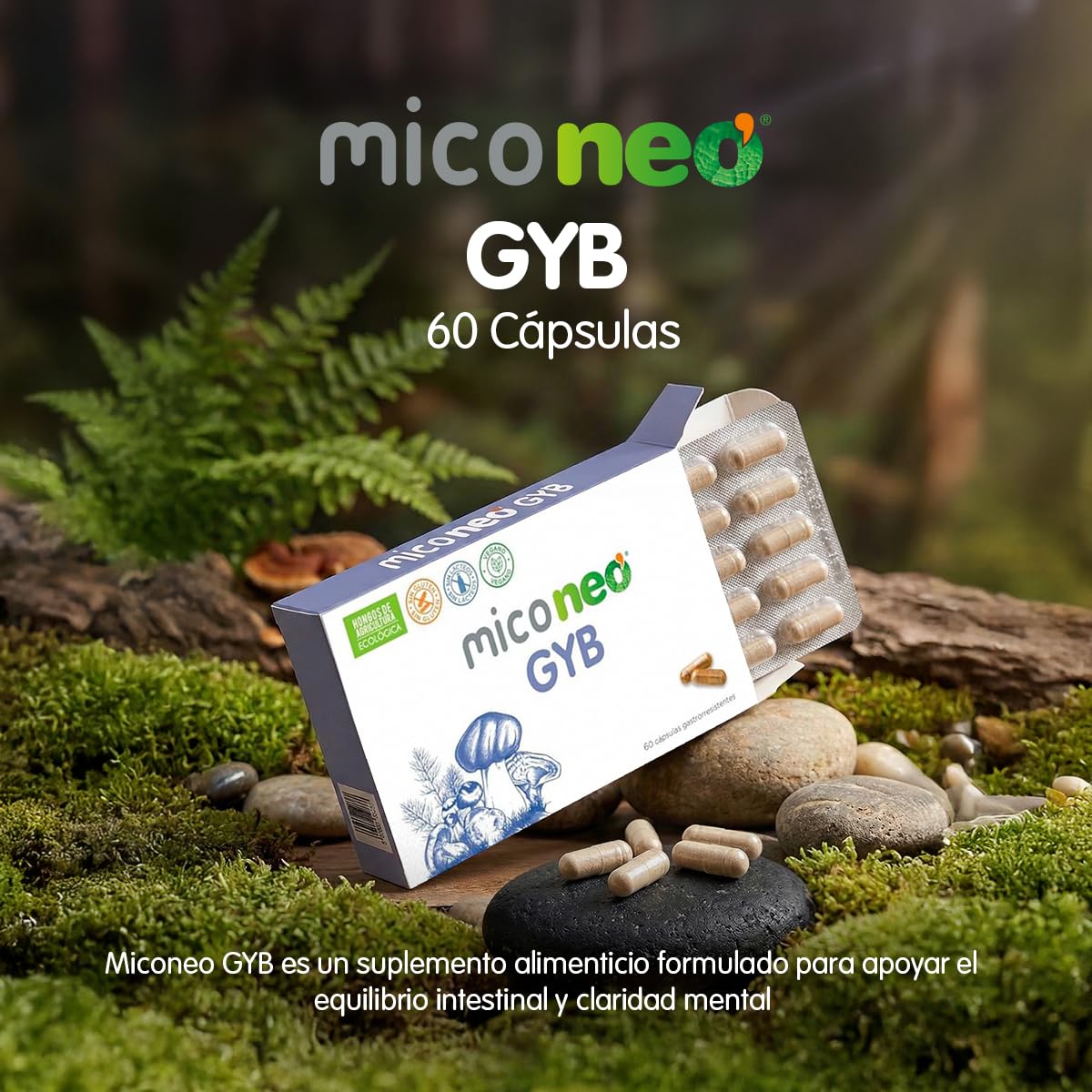MICO NEO | GYB | 60 Cápsulas | Suplemento Alimenticio de Hongos Naturales Para Equilibrio intestinal y claridad mental | Con Melena de León y Probiótico | Equilibrio intestinal, Claridad mental, Con Melena de León, Con Probiótico