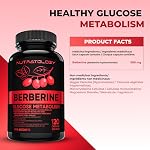 Nutratology® Berberine Supplement | Canadian-Made | Max Potency 500MG Per Capsule - Supports Glucose Metabolism & Healthy Blood Sugar Levels Through Efficient Metabolism Of Sugar & Fats - 120 Capsules