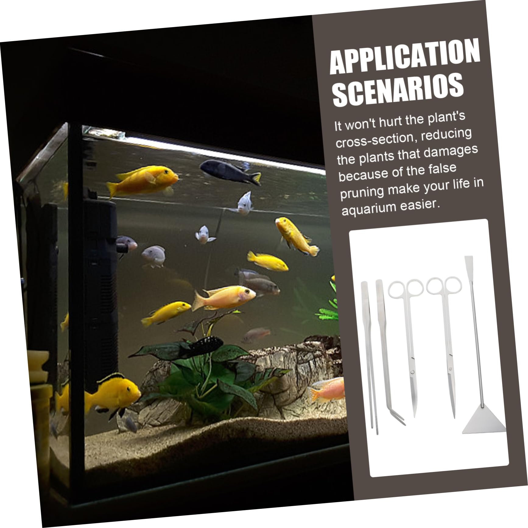 Edelstahl Aquarienschere Satz für Wasserpflanzen und Deko