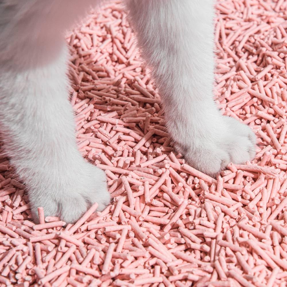Michu Arena para gatos de tofu, arena para gatos, la mejor arena para gatos, tofu natural, 5.5 libras/88 onzas, melocotón, paquete de 3