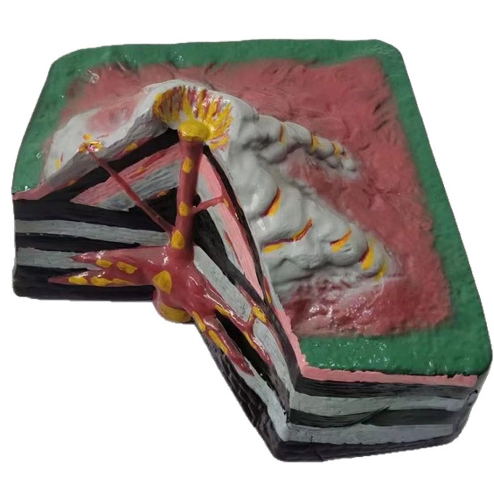 HKFGSHOP Large Volcano Distribution Model, 3d Geology Plate Tectonic Demonstration, 16.5x16.1x9 Inch, Volcano Complete Demonstration Model, Pvc, Study Teaching Tool For Classroom Display