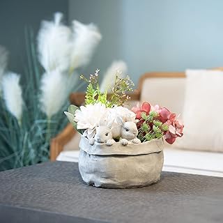 Newman House Studio Decorative Succulent Rabbit Garden Pots - Succulents Bunny Flower Pots Planter Pots 7.5 * 7.4 * 6.1 Inch