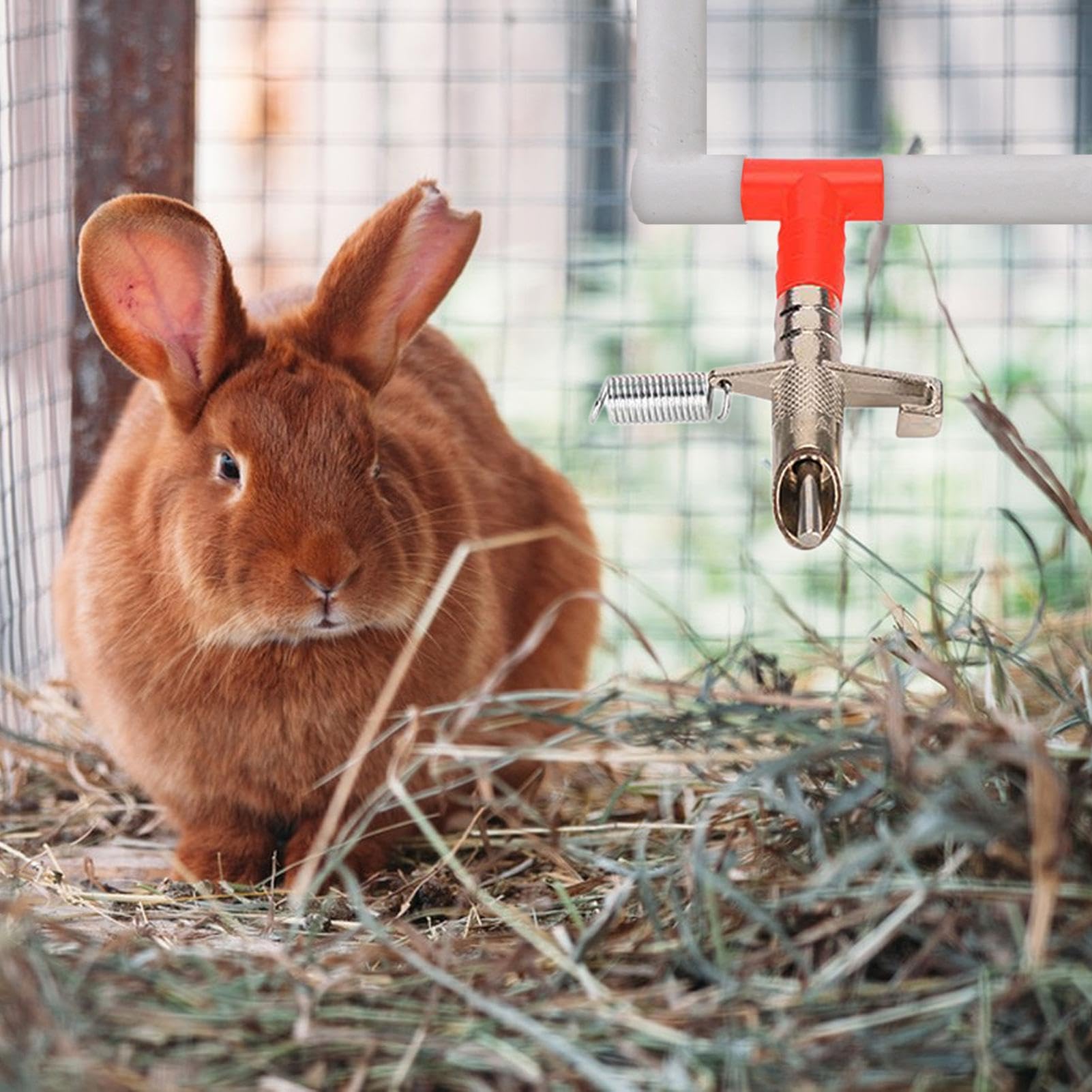 Abbeveratoio Automatico Per Conigli In Acciaio Inossidabile - Kit Da 5 Pezzi Con Beccuccio - Foto 7