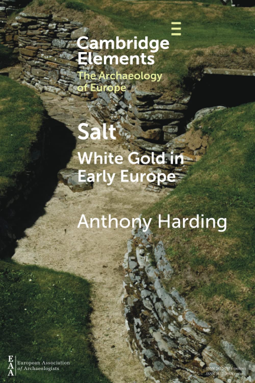 Salt White Gold in Early Europe Harding Paperback Cambridge University Press