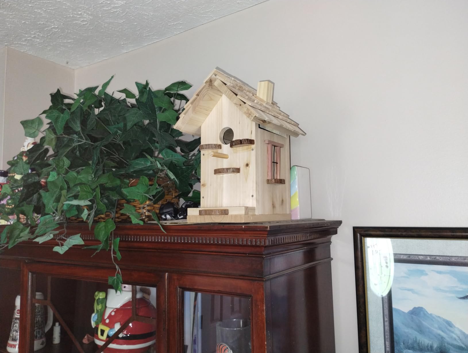 Premium Birdhouse Woodworking Kit