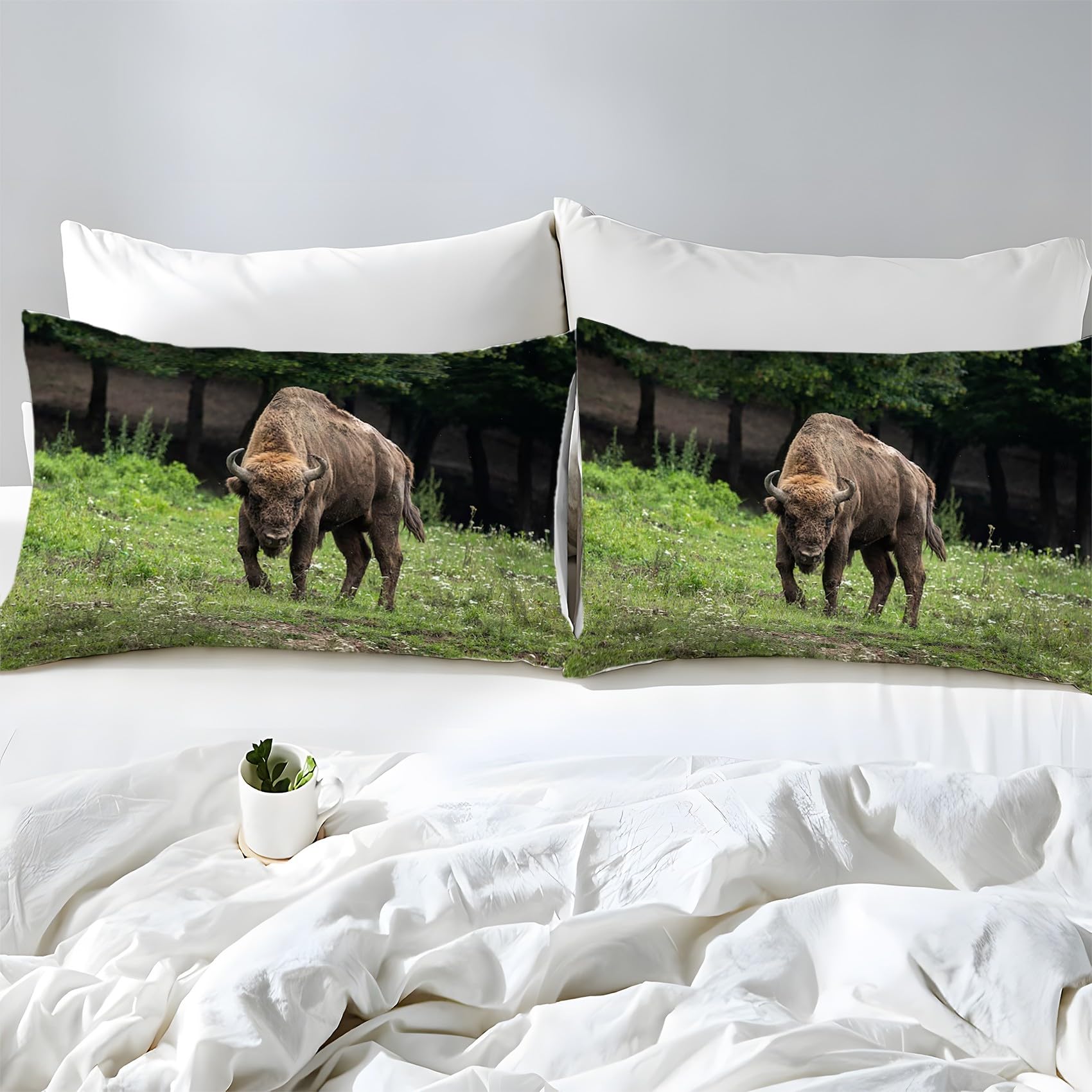 Prześcieradło z gumką na łóżko Bison o głębokości 30 cm, z 2 poszewkami na poduszki, miękka szczotkowana mikrofibra, 180 x 200 cm, łatwe w pielęgnacji