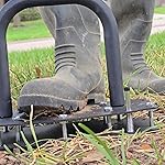 Review Image by Celeste Celeste