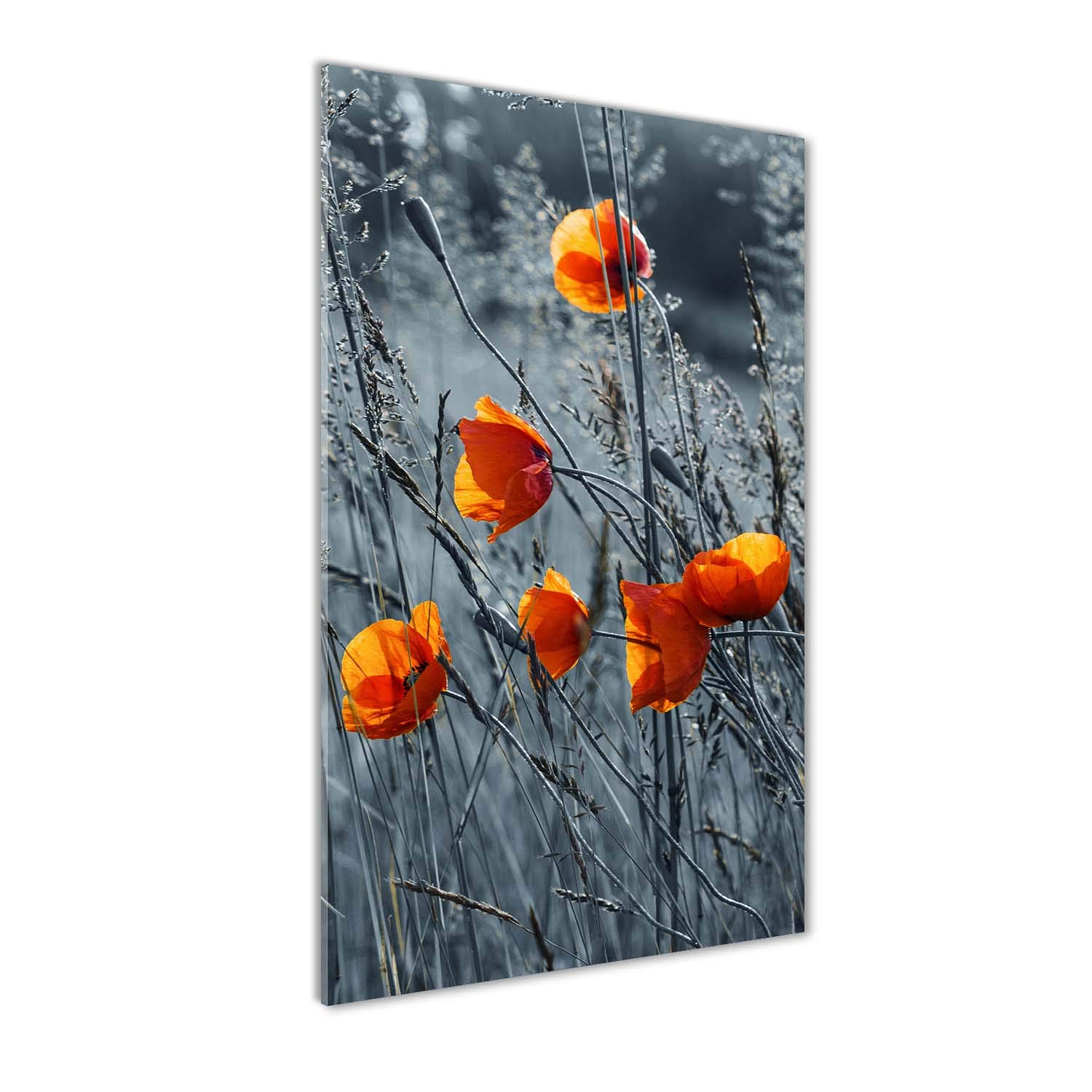 Photo décorative panoramique coquelicots orange verre 60x120 contre murs ternes