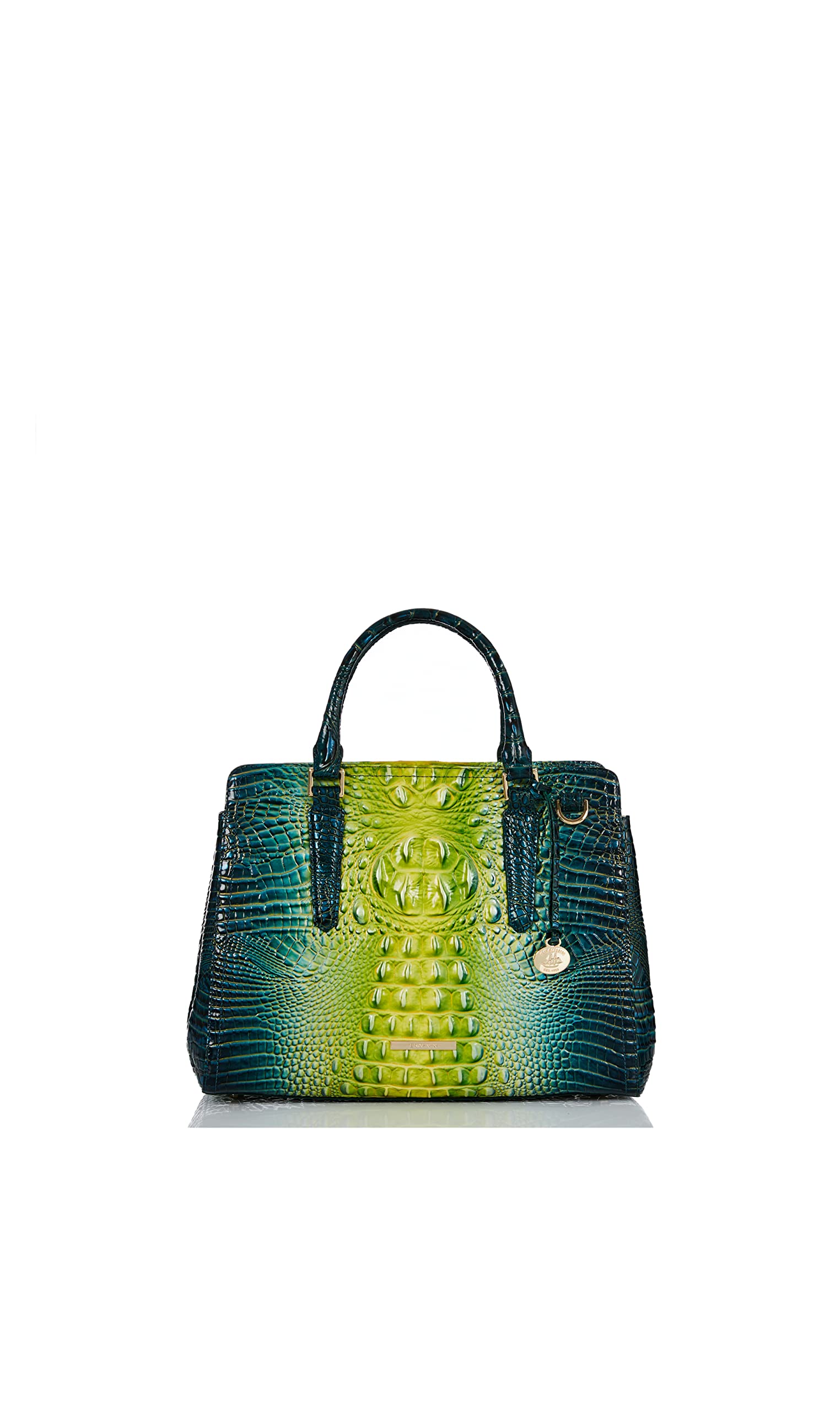 Brahmin Zesty Green Ombre Melbourne Small Finley Hand Bag Zesty