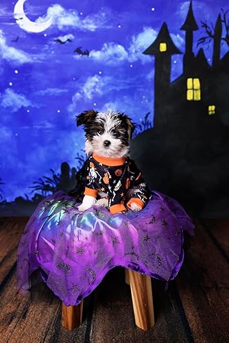 Miniatura 3 de Pijama de Navidad para perros con gnomo, ropa de invierno para perros pequeños, overol de terciopelo ligero para mascotas, traje para gatos, negro,