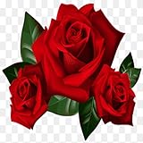 Flowers Rose Hd live wallpaper